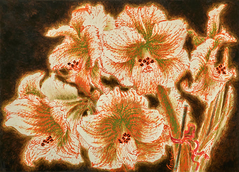 Dramatic White Amaryllis