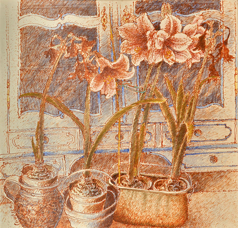 Amaryllis and Baroque Vitrine