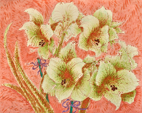 Amaryllis