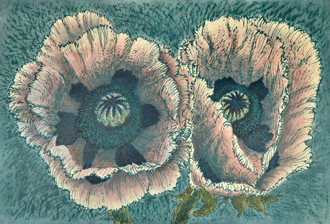 Poppies