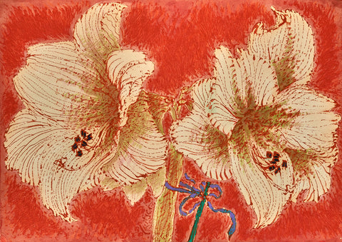 Amaryllis on Red