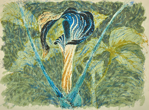Jack in the Pulpit I