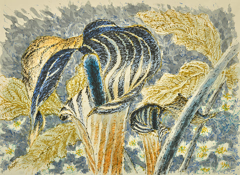 Jack in the Pulpit II